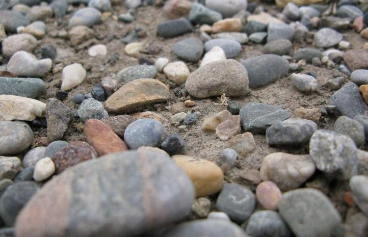 河里捡石头
