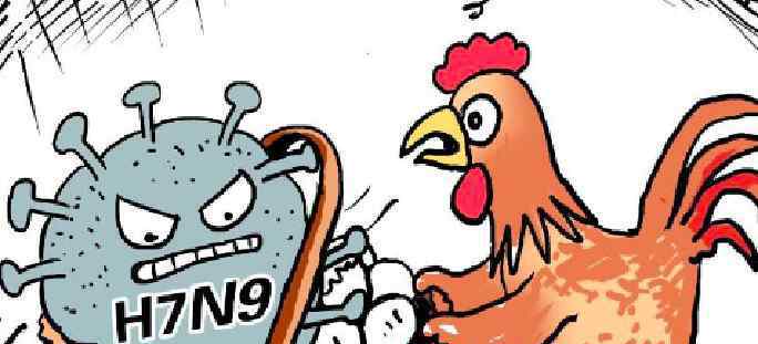 禽流感是哪一年 禽流感最严重是哪一年 你知道了吗