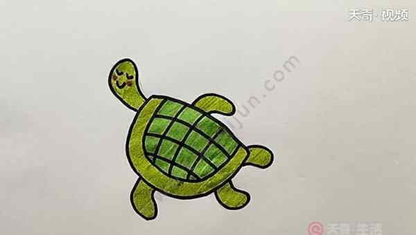 乌龟的简笔画 乌龟简笔画
