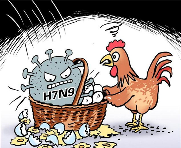 H7N9致1月死亡79例疫情进入高发期 怎么样预防才好