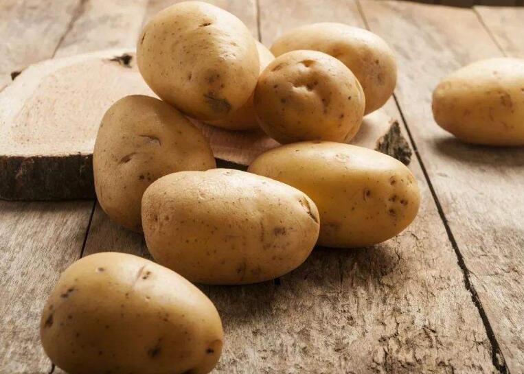 土豆怎么存放不会发芽