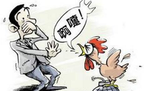 【注意】台湾发现禽流感1450只土鸡被销毁 土鸡确诊为H5N2亚型高病原性禽流感