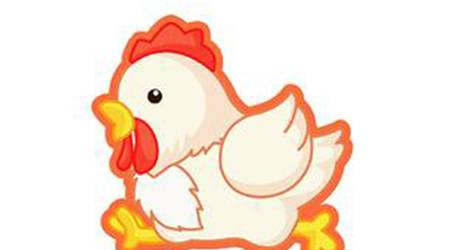 禽流感再度来袭，韩国紧急扑杀20万只家禽