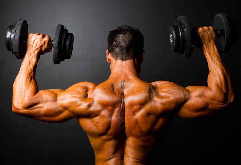 肩部肌肉 训练肩部的好处 训练肩部有哪些好处