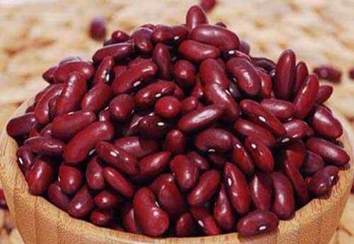 红腰豆的功效与作用 红芸豆的功效与作用