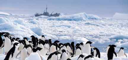 北极和南极哪个更冷 南极和北极一样冷吗？ 南极和北极的区别