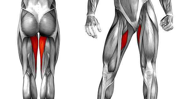 大腿外侧怎么拉伸图解 大腿内侧拉伸：3个动作推荐
