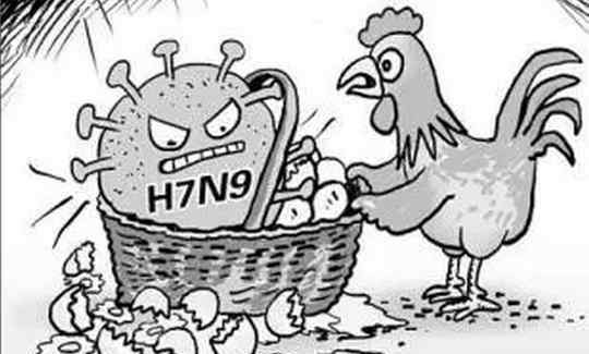 禽流感最新情况 2018年h7n9禽流感疫情 禽流感最新消息2018年