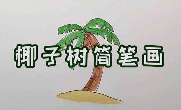 椰子树怎么画 简单的椰子树怎么画，如何画一棵简单的椰子树