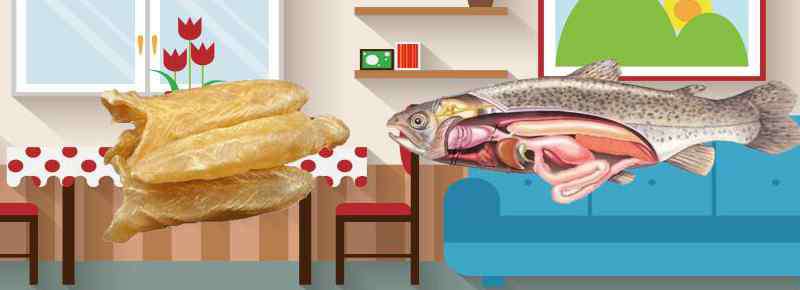 鱼肚是什么 花胶是什么东西？花胶是鱼肚鱼鳔的干制品