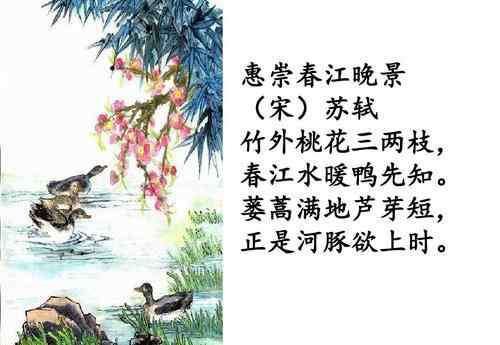 蒌蒿是什么 惠崇春江晚景描述的是什么季节 从哪里看出来