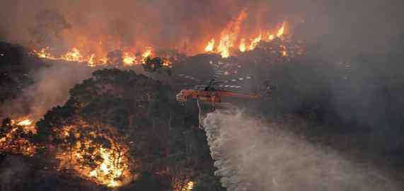 澳大利亚大火烧了多少面积 2019澳洲大火起因 2019澳洲起火死了多少人