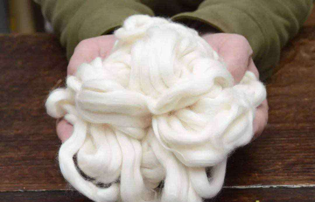 海岛棉 海岛棉是什么材质 什么是海岛棉