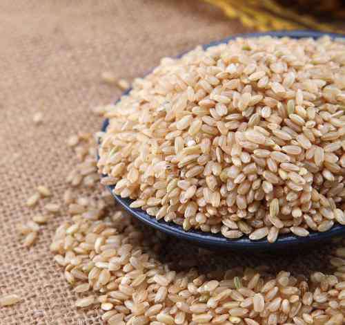 糙米是什么米 糙米是什么米  糙米怎么吃减肥