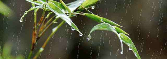 关于雨的诗歌 关于雨的诗歌 关于雨的诗歌有哪些