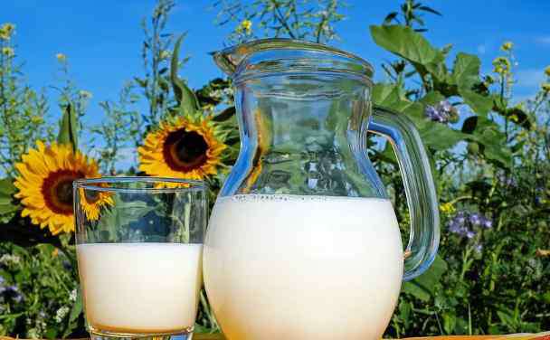 奶粉最重要5个成分 最接近母乳的配方奶粉有哪些，选奶粉实用技巧