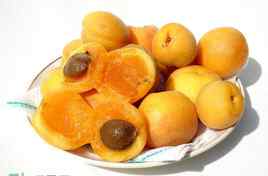 荔枝和杏能一起吃吗 杏和荔枝能一起吃吗？杏和荔枝一起吃会中毒吗？