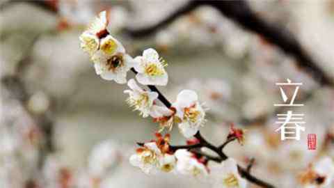 春分的寓意 春分是立春吗，春分的含义和由来