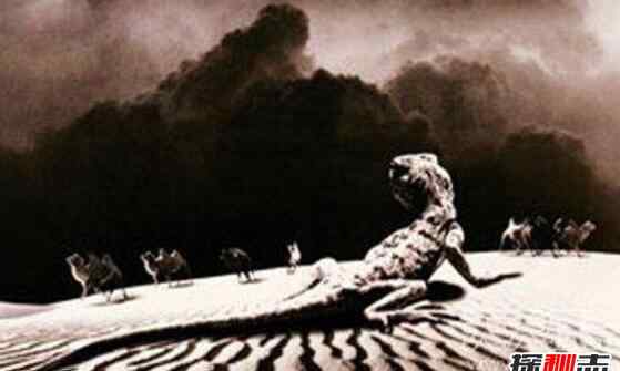 罗布泊地下洞穴 1978年罗布泊食人蜥蜴事件，罗布泊核爆炸死千条巨蜥